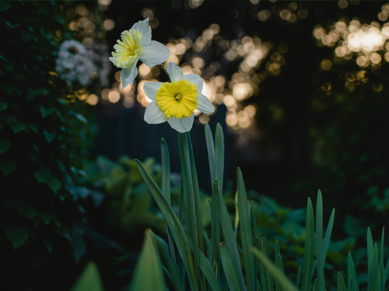 Vägens månadsbrev mars 2026 – påskens hopp och missionshubb