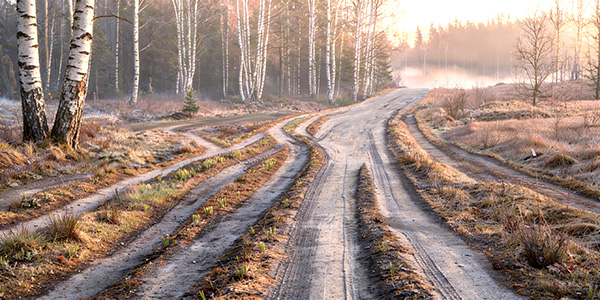Vägens månadsbrev januari–februari 2026 – ny ordförande och vision för mission